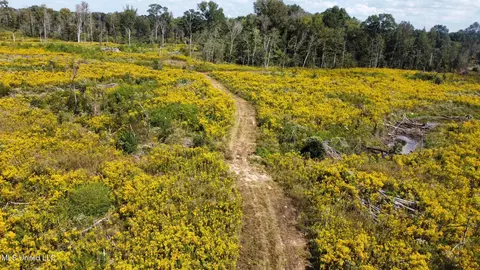 1 Highway 35, Forest, MS 39074 photo 40