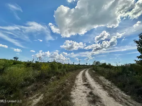 1 Highway 35, Forest, MS 39074 photo 23