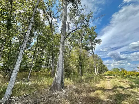 1 Highway 35, Forest, MS 39074 photo 38