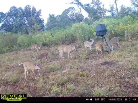 1 Highway 35, Forest, MS 39074 photo 61