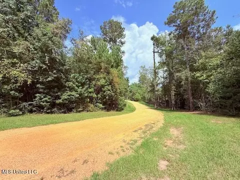 5413 S Hwy 49 Hwy, Mount Olive, MS 39119 photo 13