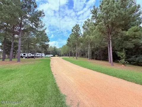 5413 S Hwy 49 Hwy, Mount Olive, MS 39119