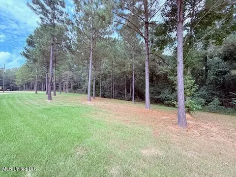 5413 S Hwy 49 Hwy, Mount Olive, MS 39119 photo 3