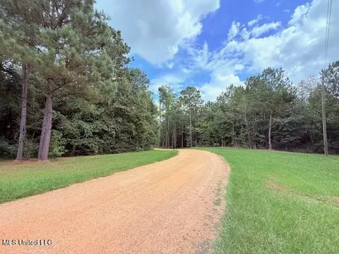 5413 S Hwy 49 Hwy, Mount Olive, MS 39119 photo 2