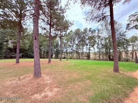 5413 S Hwy 49 Hwy, Mount Olive, MS 39119 photo 12