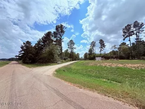 5413 S Hwy 49 Hwy, Mount Olive, MS 39119 photo 14