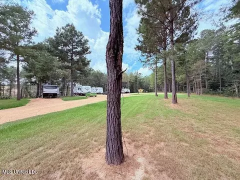 5413 S Hwy 49 Hwy, Mount Olive, MS 39119 photo 4