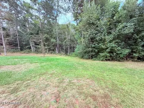 5413 S Hwy 49 Hwy, Mount Olive, MS 39119 photo 5