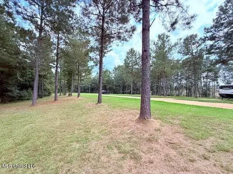 5413 S Hwy 49 Hwy, Mount Olive, MS 39119 photo 6