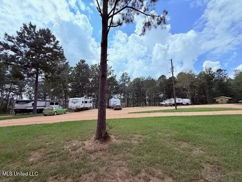 5413 S Hwy 49 Hwy, Mount Olive, MS 39119 photo 7