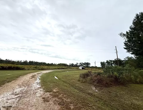 263 J W Daniels Rd, Oak Vale, MS 39656 photo 38