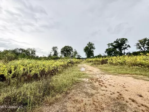 263 J W Daniels Rd, Oak Vale, MS 39656 photo 44