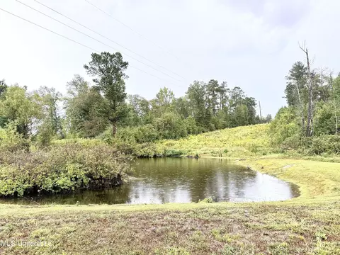 263 J W Daniels Rd, Oak Vale, MS 39656 photo 42