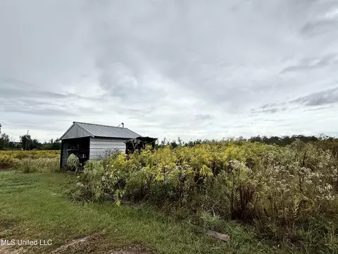263 J W Daniels Rd, Oak Vale, MS 39656 photo 41