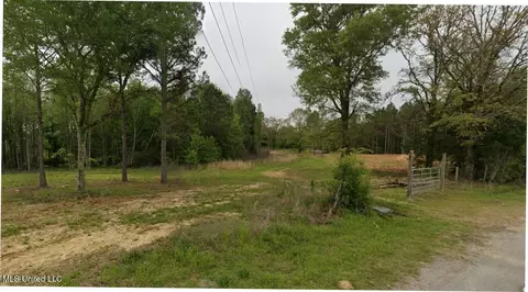 243 Old 51 Rd, Pickens, MS 39146