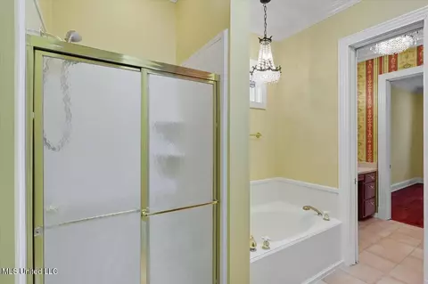 Bath - 101 Bristol Ct, Madison, MS 39110 photo 6 of 9