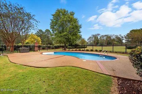 Exterior - 101 Bristol Ct, Madison, MS 39110 photo 16 of 23