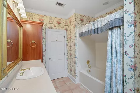 Bath - 101 Bristol Ct, Madison, MS 39110 photo 8 of 9