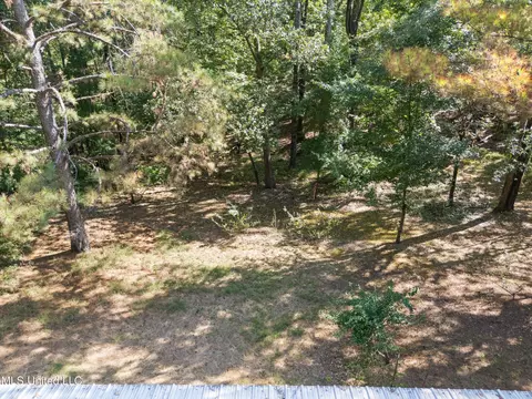 Exterior - 62 Carlisle Rd, Sarah, MS 38665 photo 4 of 4