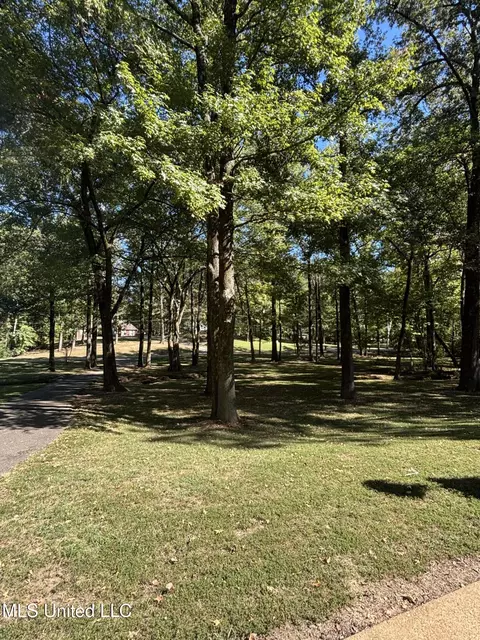 7465 Broken Hickory Dr, Walls, MS 38680 photo 4