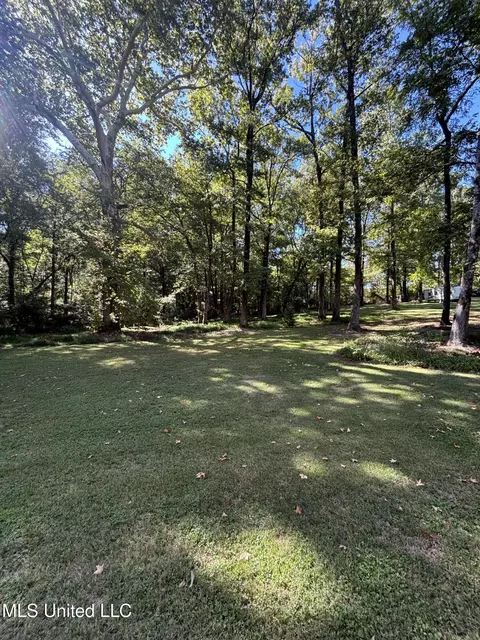 7465 Broken Hickory Dr, Walls, MS 38680 photo 7
