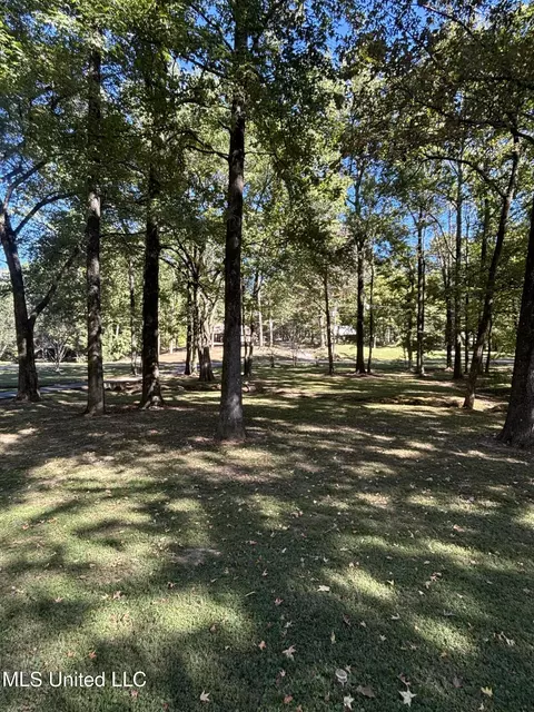 7465 Broken Hickory Dr, Walls, MS 38680 photo 5