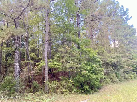 0 Hwy 27, Crystal Springs, MS 39059