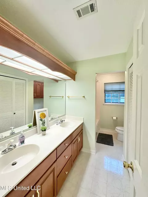 Bath - 6001 Wooded Acres Rd, Vancleave, MS 39565 photo 3 of 8