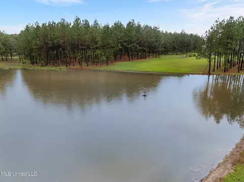 View/Area - 1227 SE Lambert Ln, Brookhaven, MS 39601 photo 1 of 1