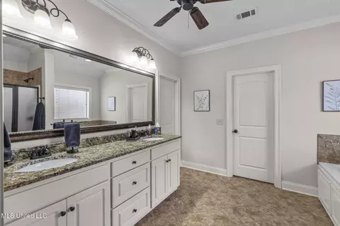 Bath - 177 Fieldstone Ln, Madison, MS 39110 photo 1 of 2