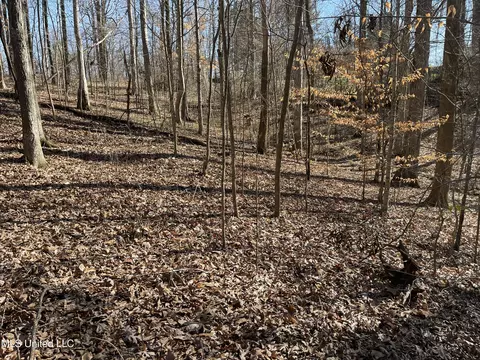 2311 Pocahontas Cv, Hernando, MS 38632 photo 5