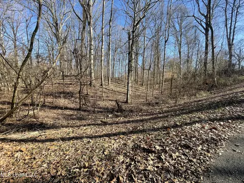 2311 Pocahontas Cv, Hernando, MS 38632 photo 6