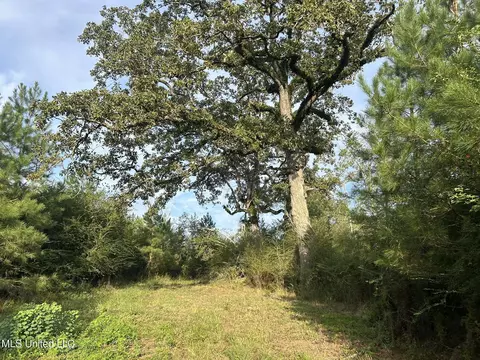 tbd N River Rd, Summit, MS 39666