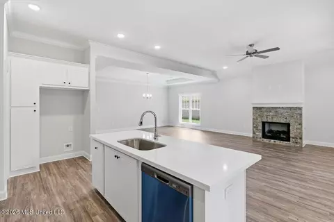Other - 408 Hyde Park Cv, Brandon, MS 39042 photo 4 of 13