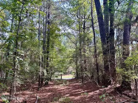 Chester Reeves Rd, Mccomb, MS 39648 photo 2