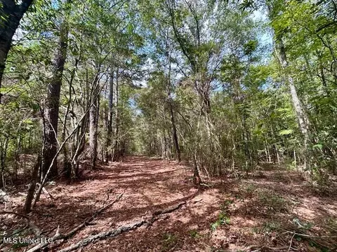 Chester Reeves Rd, Mccomb, MS 39648 photo 4