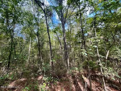 Chester Reeves Rd, Mccomb, MS 39648 photo 5