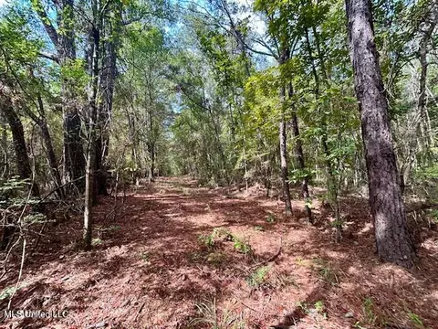 Chester Reeves Rd, Mccomb, MS 39648 photo 6