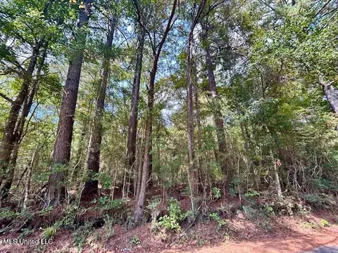 Chester Reeves Rd, Mccomb, MS 39648 photo 11