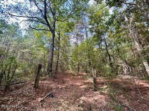 Chester Reeves Rd, Mccomb, MS 39648 photo 8