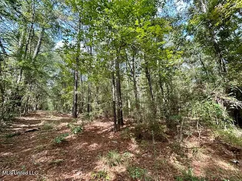 Chester Reeves Rd, Mccomb, MS 39648 photo 7