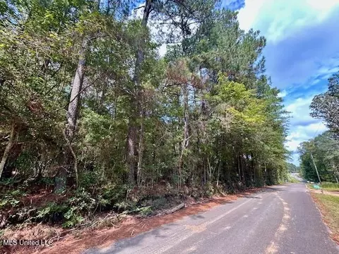 Chester Reeves Rd, Mccomb, MS 39648 photo 9