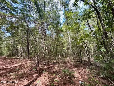 Chester Reeves Rd, Mccomb, MS 39648 photo 3