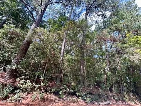 Chester Reeves Rd, Mccomb, MS 39648 photo 10