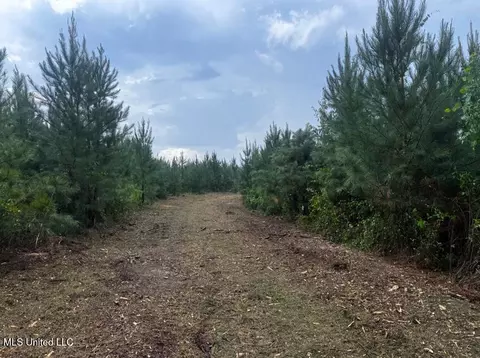 Ms Hwy 540, Braxton, MS 39044