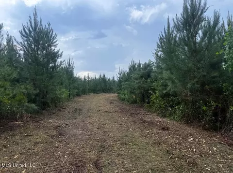 Ms Hwy 540, Braxton, MS 39044