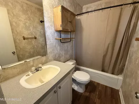 82 Holly Cv, Coldwater, MS 38618 photo 11