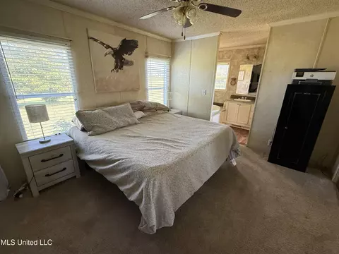 82 Holly Cv, Coldwater, MS 38618 photo 7