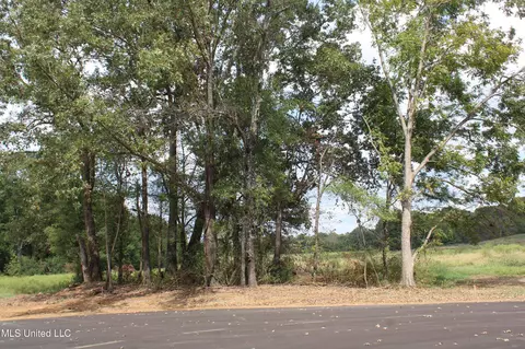 1 Hickory Hollow Rd, Hernando, MS 38632 photo 65