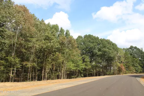 2 Hickory Hollow Rd, Hernando, MS 38632 photo 19